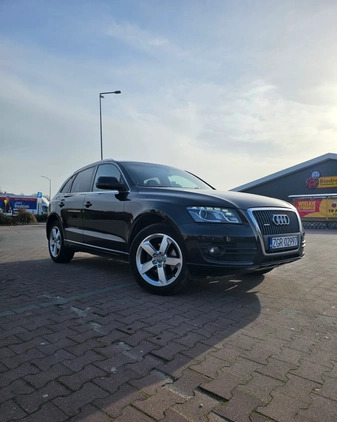 Audi Q5 cena 47000 przebieg: 203000, rok produkcji 2008 z Chojna małe 37